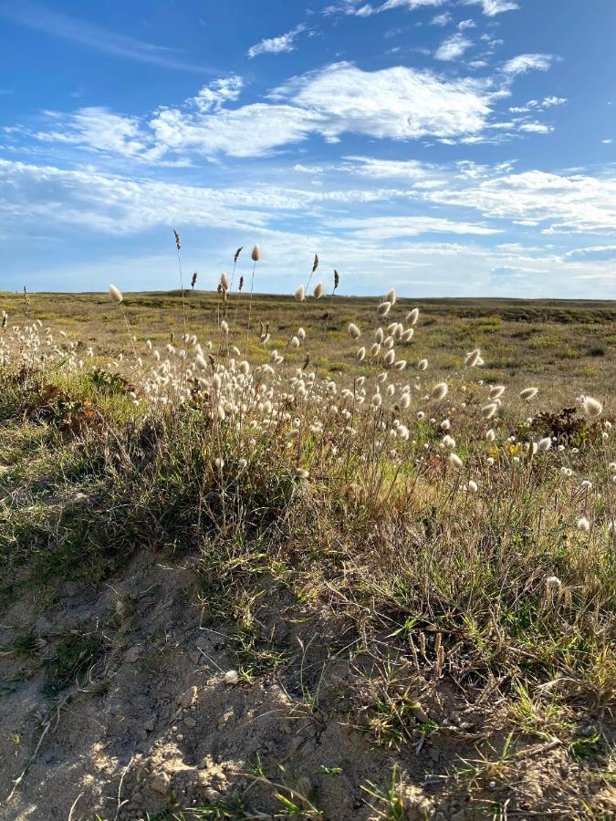 Maison Des Dunes Эрдевен Экстерьер фото